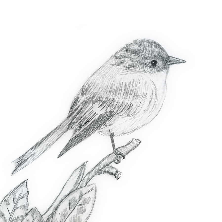 All the Birds Wore Winter (Part One)